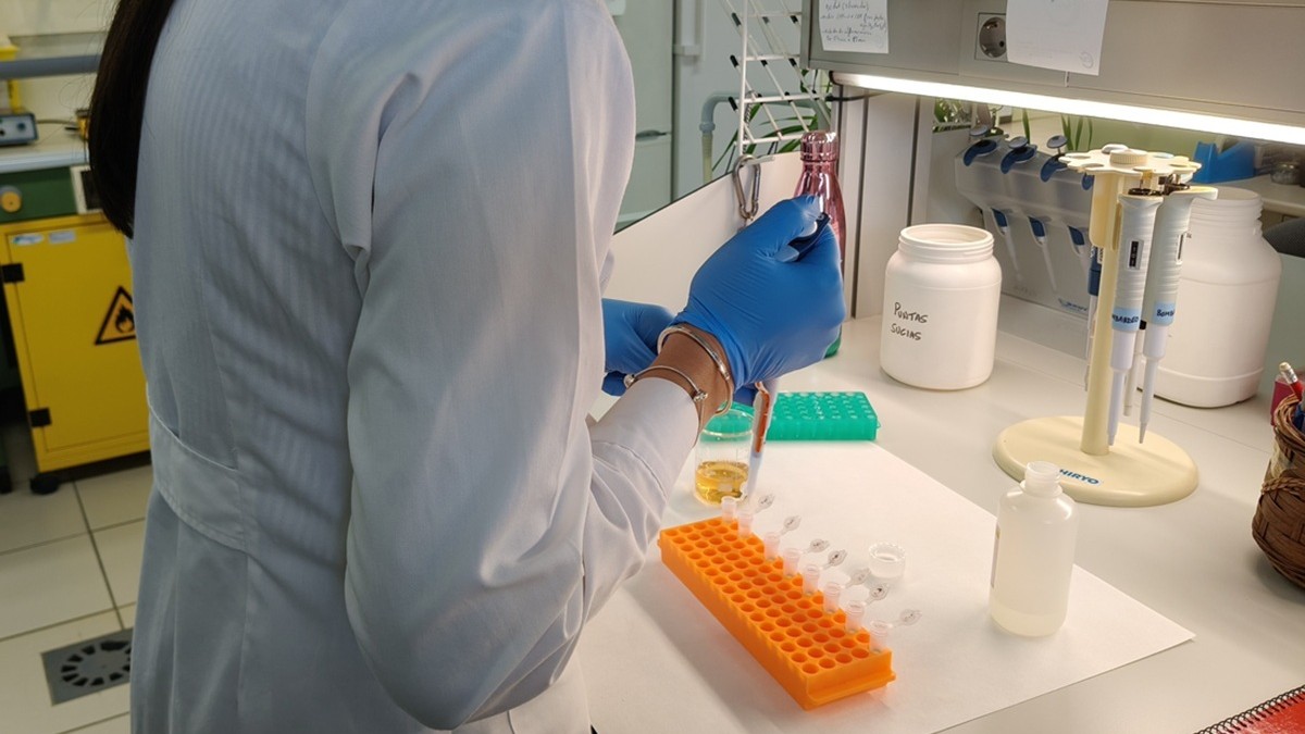 Laboratorio IAS-CSIC (1).jpg